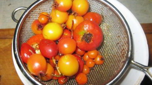 яблочное варенье из китайки