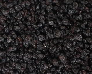 Заготовка аронии