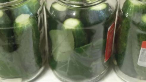 заготовка для салатов