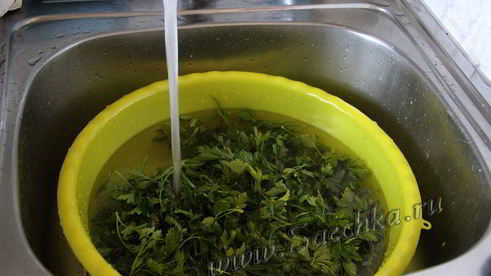 заготовка петрушки на зиму