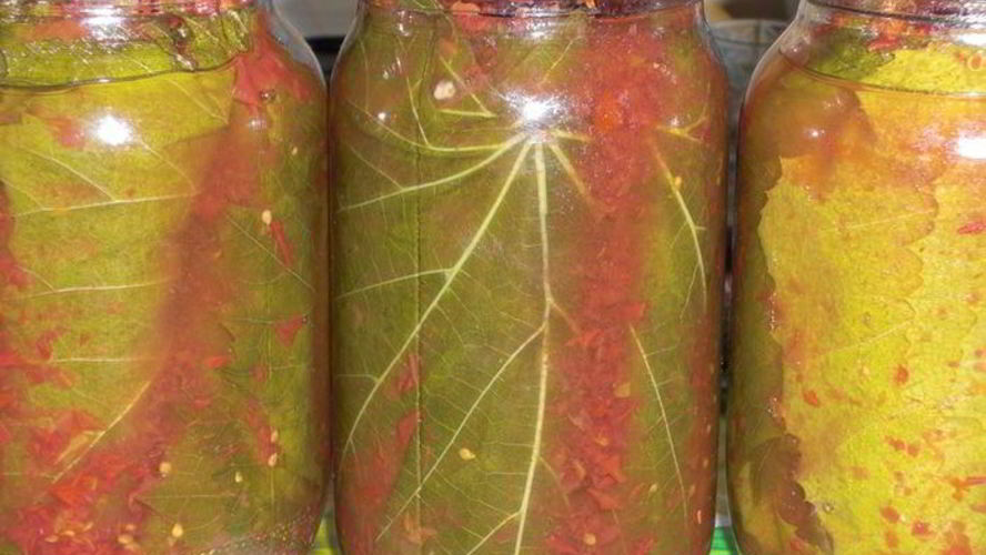 Рецепт заготовка виноградных листьев