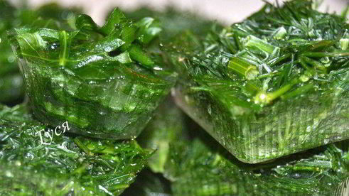 заготовка зелени на зиму