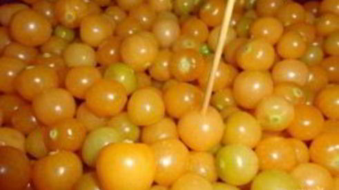 заготовки из физалиса