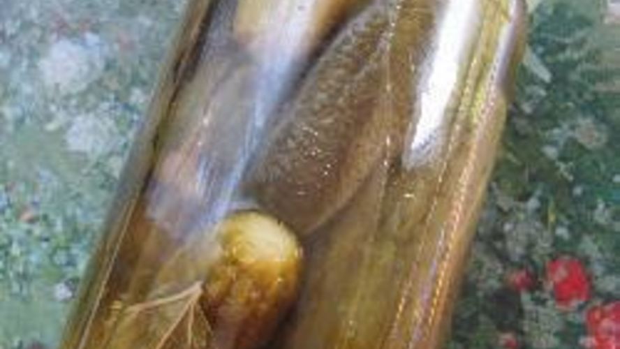 Рецепт заготовки из огурцов и кабачков с лимонной кислотой