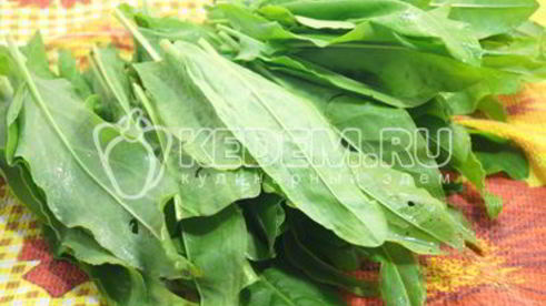 заморозка щавеля на зиму