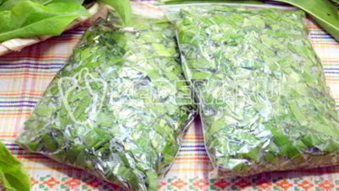 заморозка щавеля на зиму