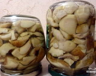 Зонтики на зиму