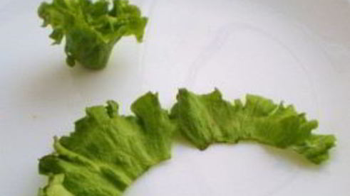 маленькие закусочные бутерброды