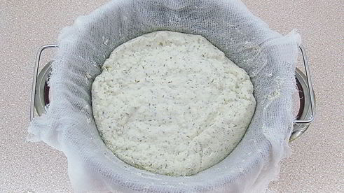 домашний творожный сыр