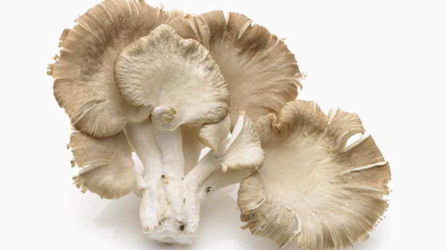 Рецепт икра из вешенок