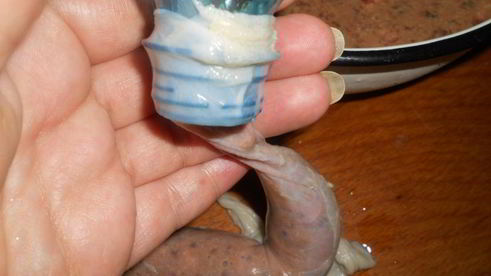 колбаса печеночная