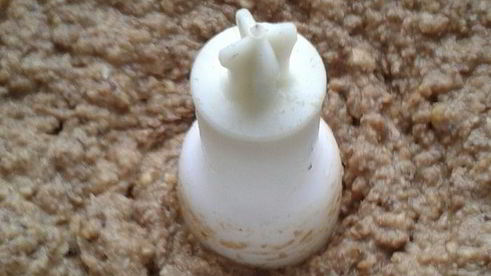 паштет из чечевицы с кешью и черносливом