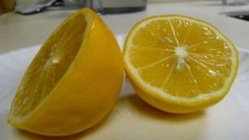 паштет из индейки с рукколой