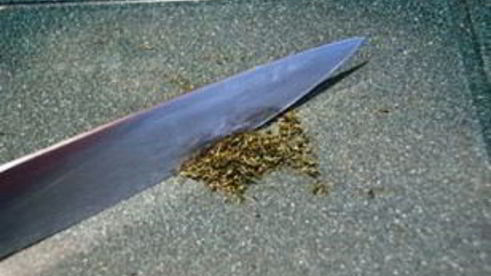 паштет из индейки с рукколой