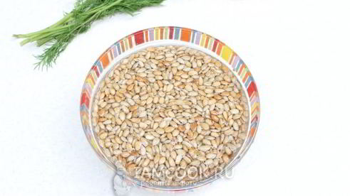 паштет из семян подсолнуха