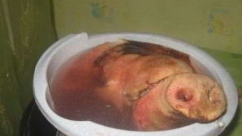 паштет из свиной головы