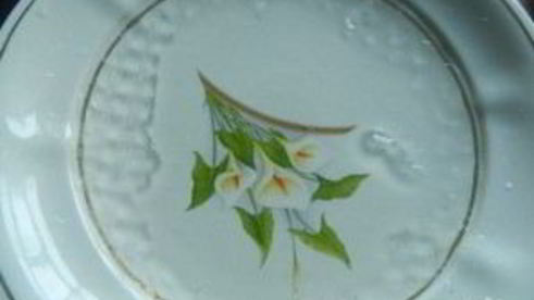 рисовые роллы пп