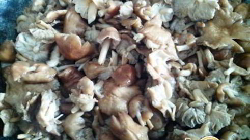 постные рулетики с грибами