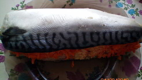 рулет из скумбрии с морковью и яйцом