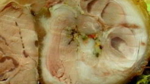 рулет из свиной рульки