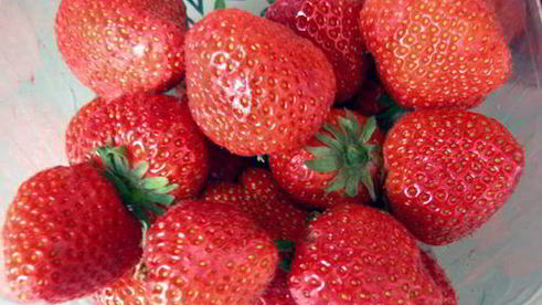 тарталетки с клубникой и сливочным желе