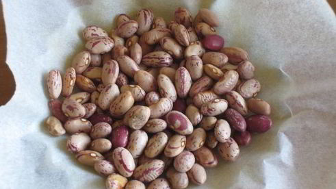 тарталетки с овощами и йогуртовой заливкой