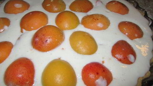 тарт абрикосовый кисленький