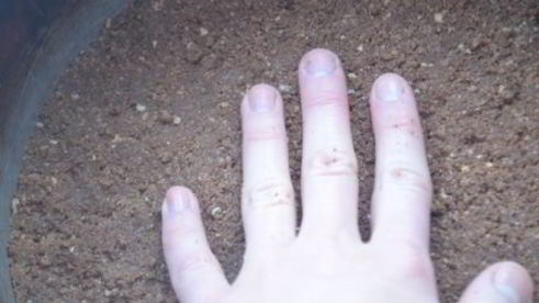 тарт баноффи с меренгой