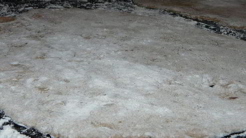 тарт фламбе с помидорами и крем-шпинатом