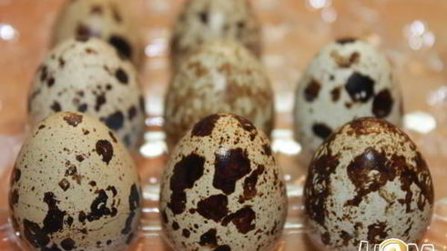 тарт с капустой и перепелиными яйцами