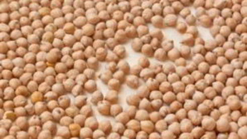 тарт с помидорами черри