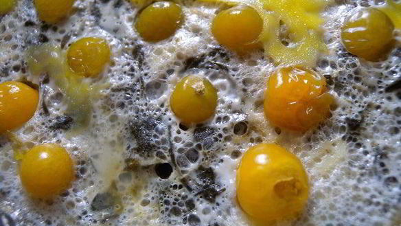 Рецепт Яичница со шпинатом и физалисом