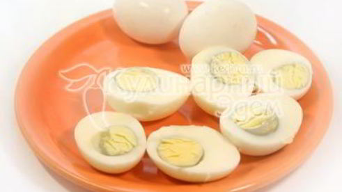 закуска букашки