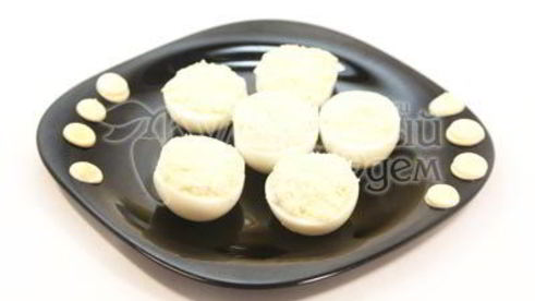 закуска букашки