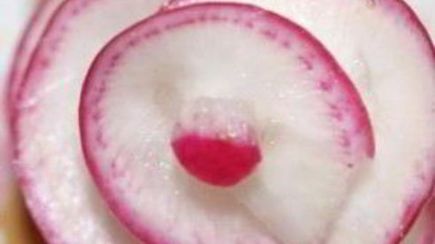 закуска красный цветок из редиса