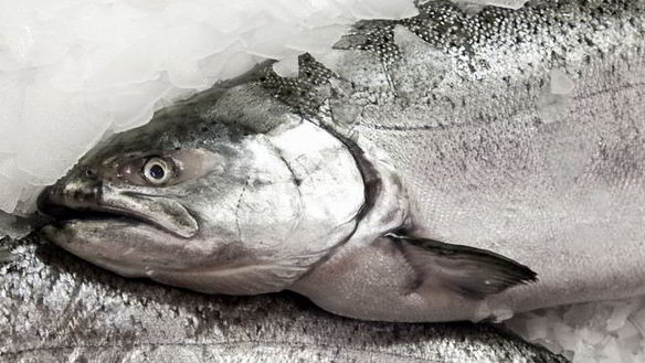 Рецепт Заливное из судака