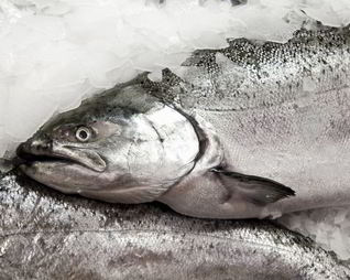 Заливное из судака