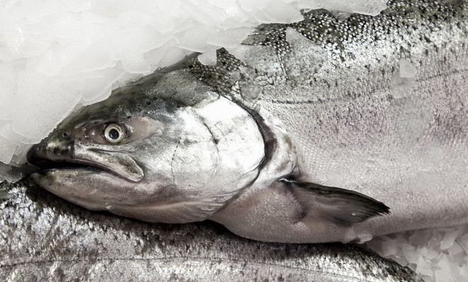 Заливное из судака